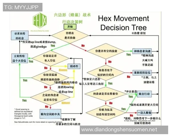 飞盘新手必读：从基础到进阶的全面技巧与战术解析